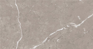 YSRP61222